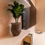 Modern & Elegant Center